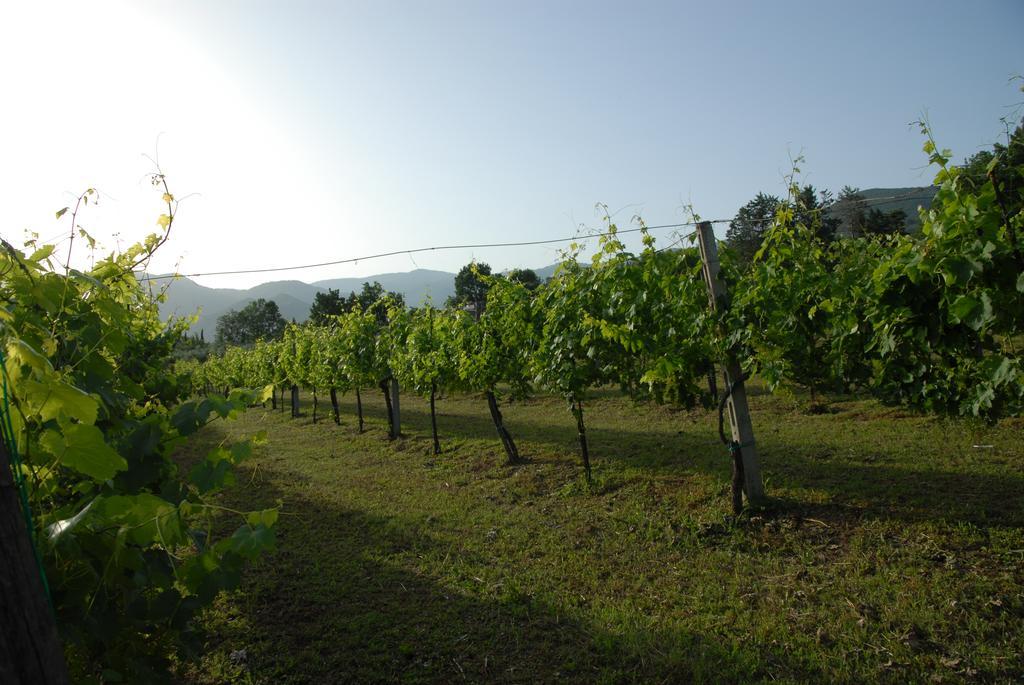 Tenuta Torellone San Potito Sannitico Exterior photo